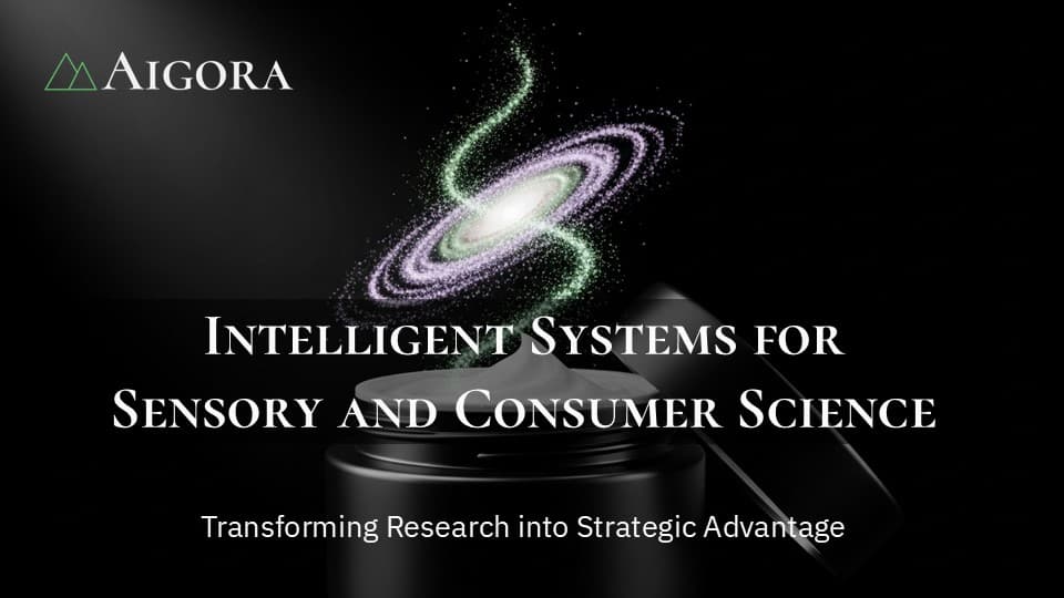 2025 Aigora Capabilities Deck Preview